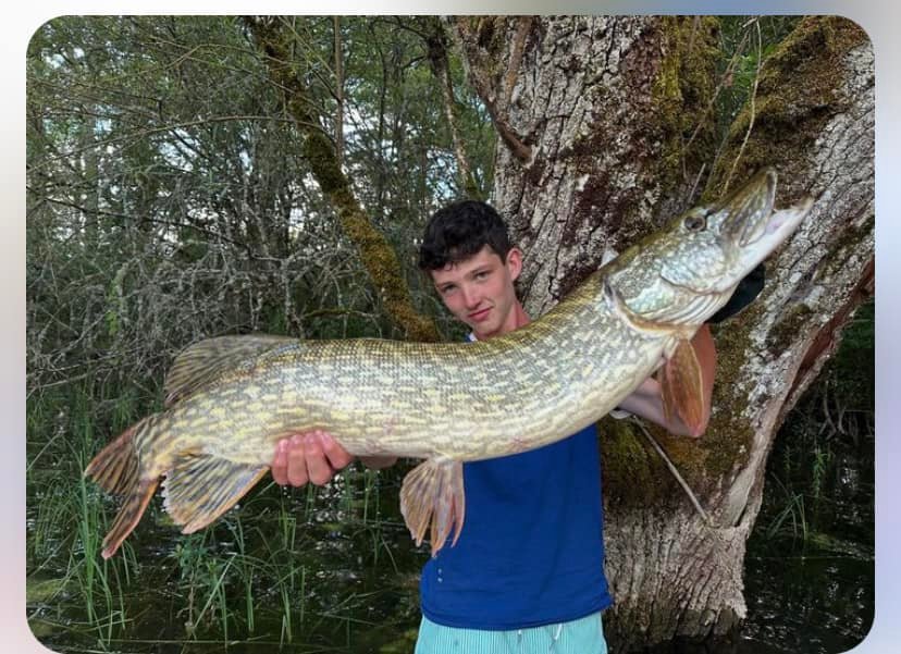 476169268_552103977836369_6277869765264825977_n